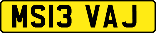MS13VAJ