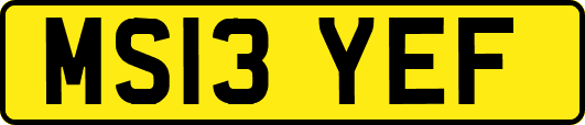 MS13YEF