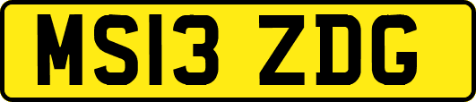 MS13ZDG