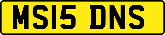 MS15DNS