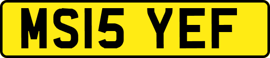 MS15YEF