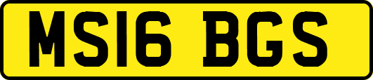 MS16BGS