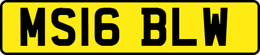 MS16BLW