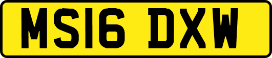 MS16DXW