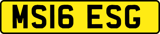 MS16ESG