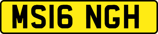 MS16NGH