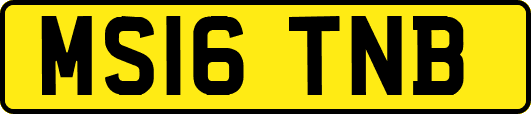 MS16TNB