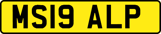 MS19ALP