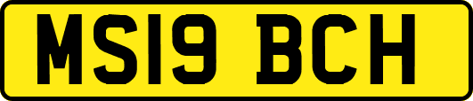 MS19BCH