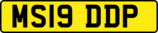MS19DDP