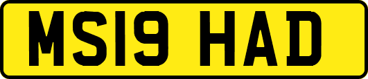 MS19HAD