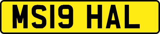 MS19HAL