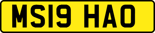 MS19HAO