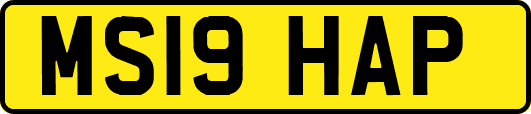 MS19HAP