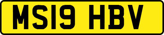 MS19HBV