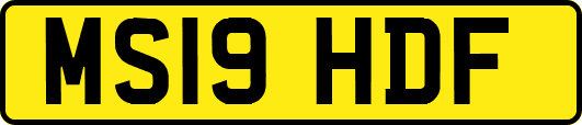 MS19HDF