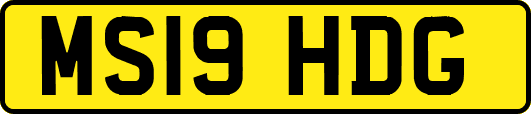 MS19HDG