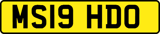 MS19HDO