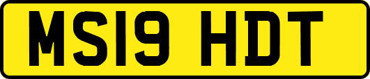 MS19HDT