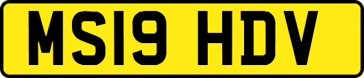 MS19HDV