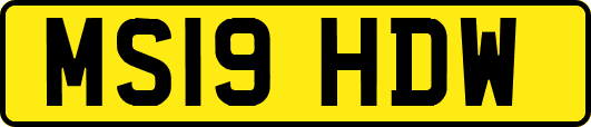 MS19HDW