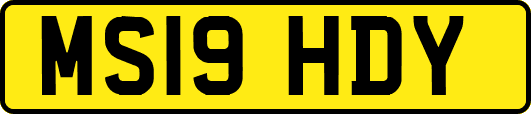 MS19HDY