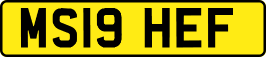 MS19HEF