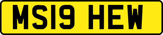 MS19HEW