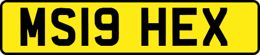 MS19HEX