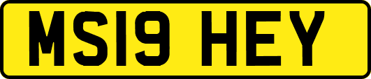 MS19HEY