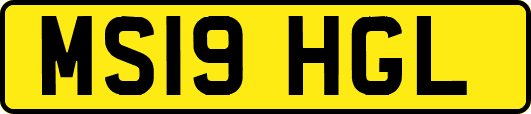 MS19HGL