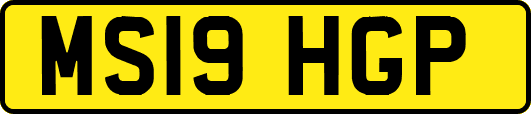 MS19HGP