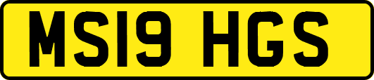 MS19HGS