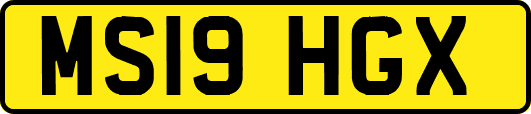 MS19HGX