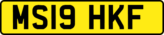 MS19HKF