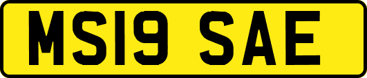 MS19SAE