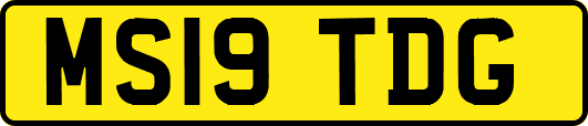 MS19TDG