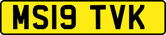 MS19TVK