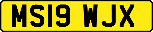 MS19WJX
