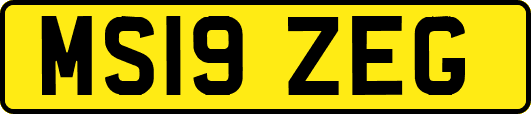 MS19ZEG