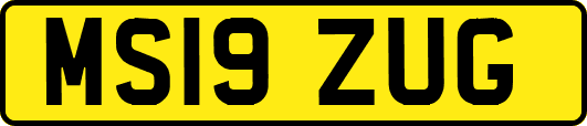 MS19ZUG