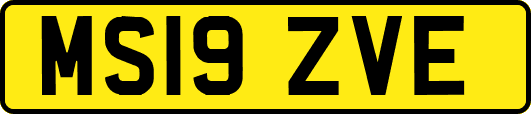 MS19ZVE