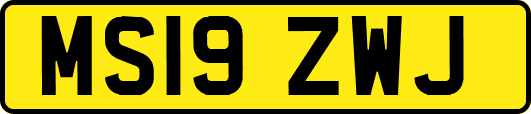 MS19ZWJ