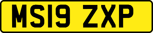 MS19ZXP