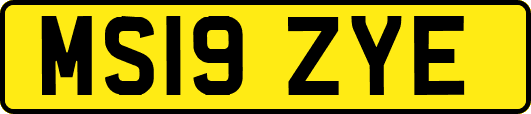 MS19ZYE