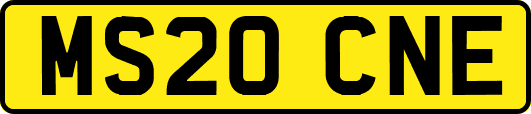 MS20CNE