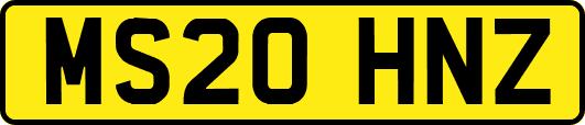 MS20HNZ