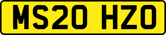 MS20HZO