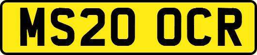 MS20OCR