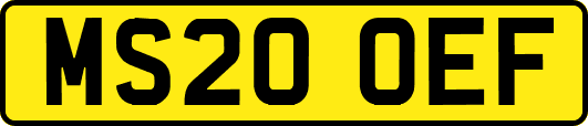 MS20OEF